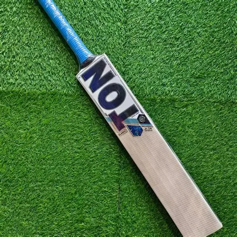 SS ton cricket battom